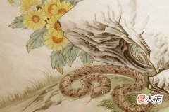 蛇见羊哭断肠什么意思
