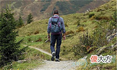 做梦梦见流浪好不好(图文)