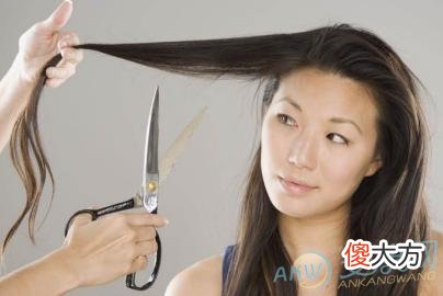 梦见剪头发剪了一半有着怎样的特殊含义?(图文)