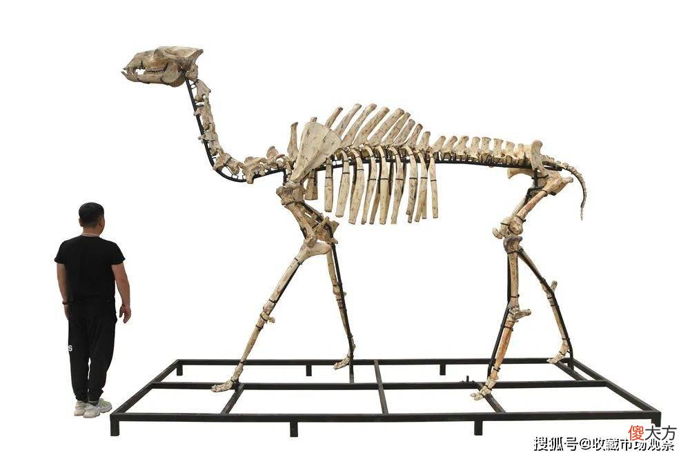 【爱历史】“积厚流广——国家博物馆考古成果展”即将展出