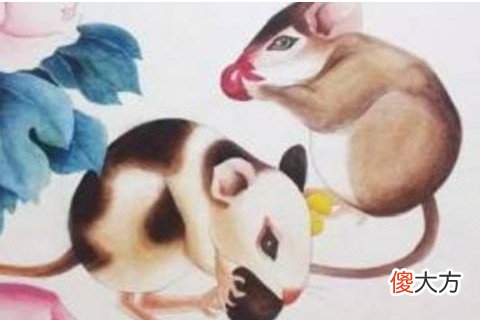 96年鼠男和94狗女哪年结婚好