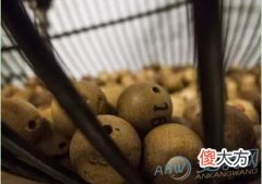 解读梦见抽签的含义 注意梦境的变化(图文)