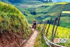 梦见乡间小路(图文)