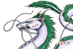 龙和虎属相合吗