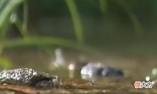 湖南古寨惊现神秘干尸，村民不怕反而供奉，专家赶去勘查吓坏了