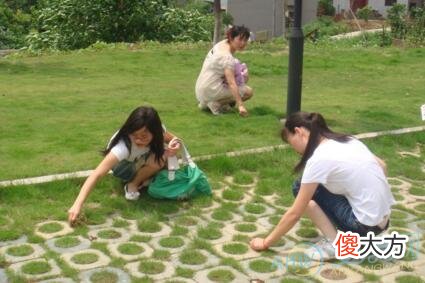 梦见拔草(图文)