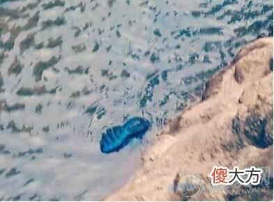 梦见鞋被水冲走了有着怎样的暗示？(图文)