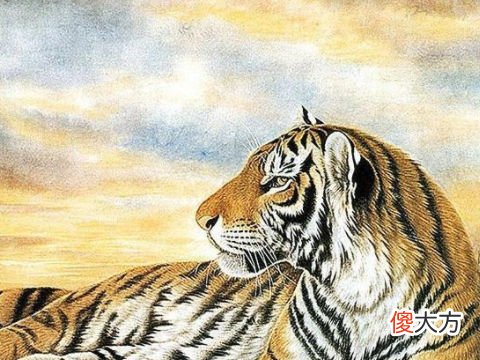属虎人2022年运势及破解方法