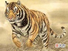 2022年属虎女本命年戴什么转运,虎年本命年女性佩戴什么生肖