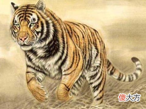 2022年属虎女本命年戴什么转运,虎年本命年女性佩戴什么生肖