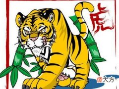 2022年属虎本命年需要注意什么,虎年本命年有什么讲究