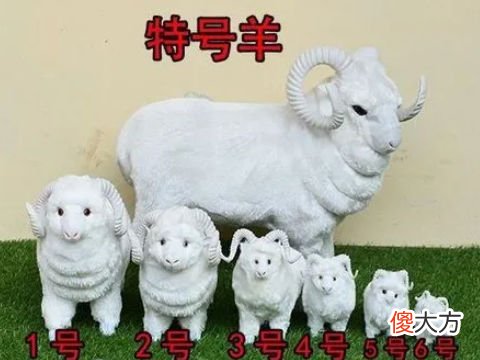 麦玲玲属羊2022年运势及运程详解