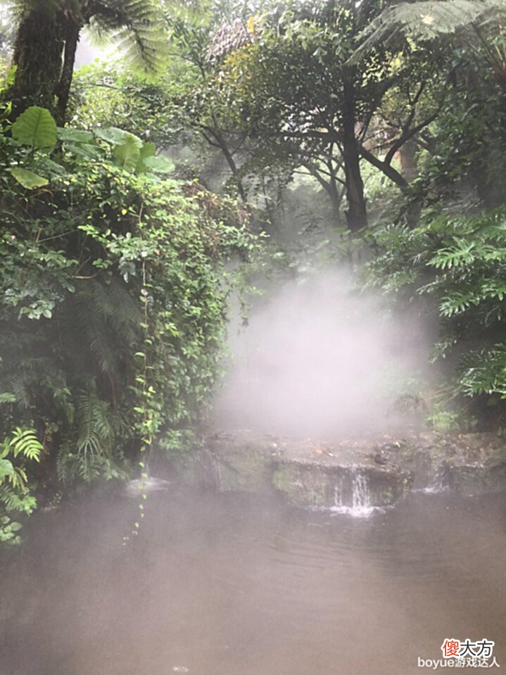 【游戏迷】原神须弥实景与现实对比,雨林场景值得期待,荒漠可能暗藏凶险