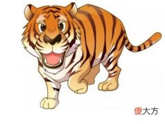 属虎在2022年本命年结婚好不好,2022年属虎人的全年运势犯太岁怎么化解