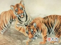 属虎2022年犯太岁吗?属虎化解太岁佩戴什么最好
