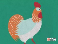 李居明2022年生肖鸡运势运程