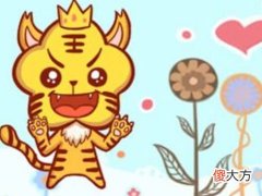 2022年属虎本命年穿什么颜色的衣服好,虎年本命年忌红色吗