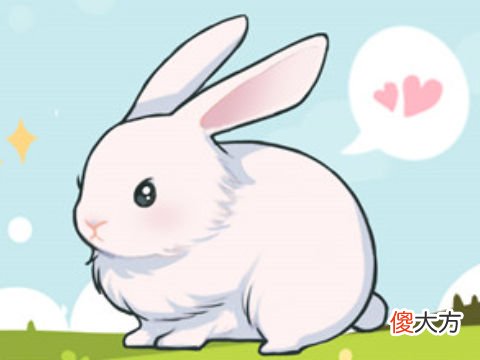 苏民峰属兔2022年运势及运程