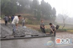 梦见铺路(图文)