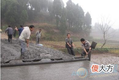 梦见铺路(图文)