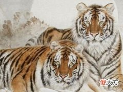 2022年98年属虎运势,属虎24岁本命年有什么讲究