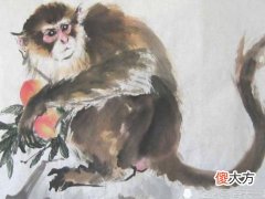 猴子2022年犯太岁吗,凶星大耗对冲影响