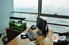 常见的办公室养鱼风水注意事项介绍(图文)