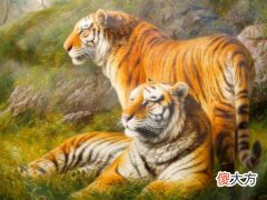 1986年属虎人2022年要注意什么,86年出生属虎36岁本命年戴什么转运