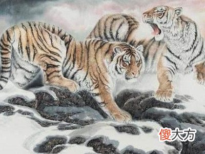 1974年属虎2022年本命年运势如何,74年生肖虎48岁本命年佩戴什么
