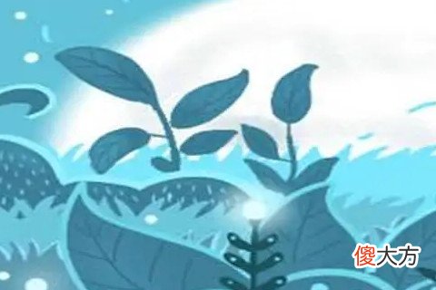 12生肖男女生在哪一年命好？