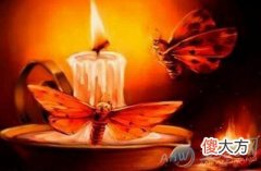 梦见扑火(图文)