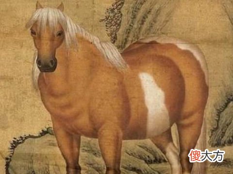 属马人2022年事业官运和财运运势详细点评