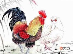 属鸡人2022年运势及破解方法