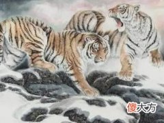 98年属虎的2022年怎么样,1998属虎24岁本命年运势