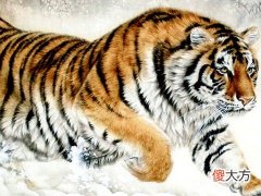 2022年属虎本命年要佩戴什么转运,虎年本命年带什么首饰最好