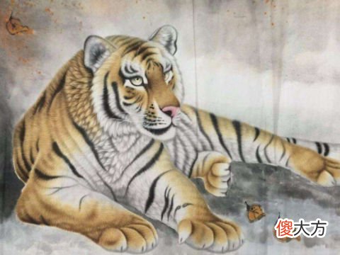 属虎人2022年爱情运如何及幸运颜色是什么