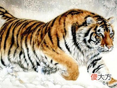 2022虎年本命年的运势,虎本命年值太岁是什么意思