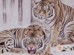 2022年虎年犯太岁的四个属相是哪些