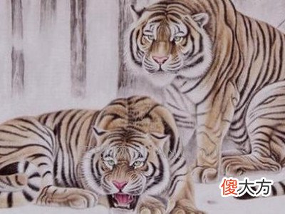 2022年虎年犯太岁的四个属相是哪些