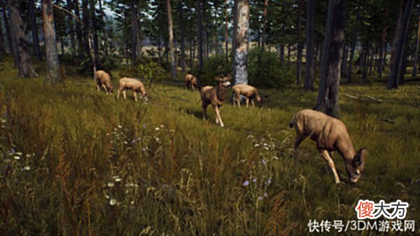 【游戏迷】开放世界狩猎冒险游戏《猎人之路》上线Steam8月发售