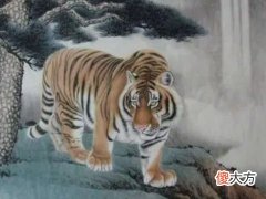 2022年属虎本命年能参加葬礼吗?2022虎年本命年奔丧要注意什么