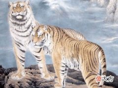 2022年犯太岁的生肖解法,属相不同方法不同