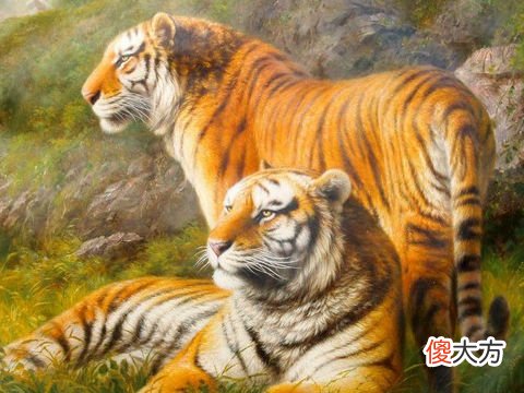 2022年属虎本命年应该佩戴什么好，虎年本命年带什么东西能转运
