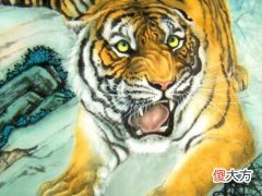 2022年虎年本命年运势,本命年犯太岁健康如何