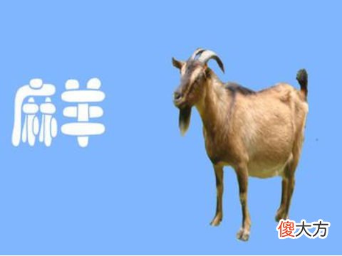属羊人2022年运势如何,属羊人2022年运势详解