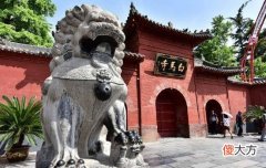 【历史故事】河水中露出一只乌龟，竟然是唐朝白马寺的