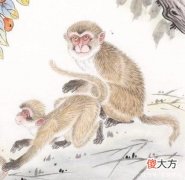 【星座控】2022下半年，四生肖前方有贵人，事业变顺利，钱多无忧