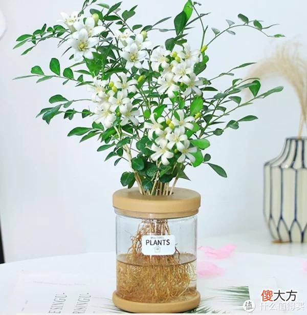 【时尚一点】夏日居家清凉好物,请收下这份实用感爆棚的平价生活好物清单