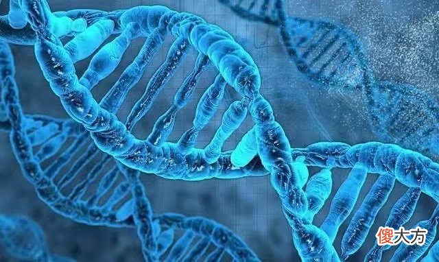 花费48万，仅长高1厘米：家长的鸡娃焦虑，撑起3000亿增高针市场