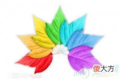 梦见七彩(图文)